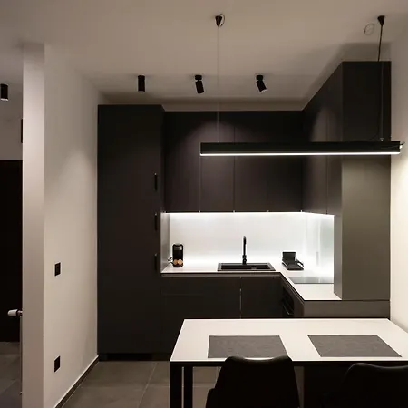 Apartment Grey Lux Pirot