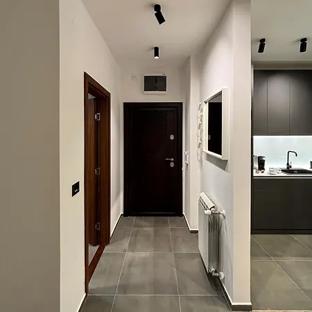 Grey Lux Lejlighed Pirot